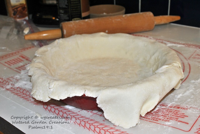 Being creative in the kitchen is still being creative.  :)  My first GF pie crust.