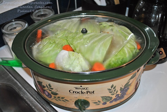 Now that is one packed crock pot!