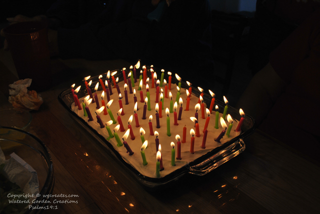 And yes, that is 75 individual candles. Makes it way more fun that way, and she blew them all out in one breath. :)