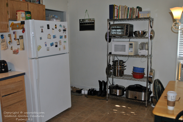 New fridge and shelves, looks like a new kitchen.